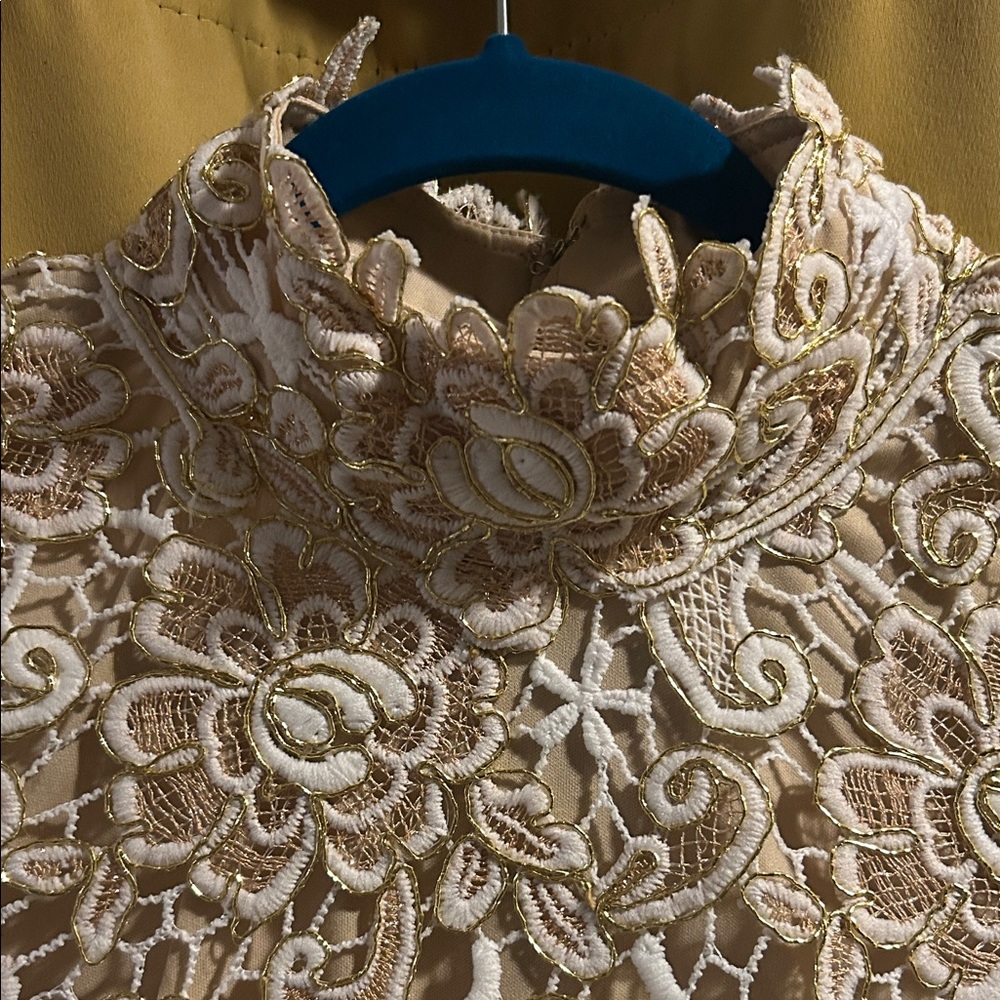 VENUS Lace Long Sleeve Dress in Cream and Gold with Expose back. Nude liner - Picture 10 of 11